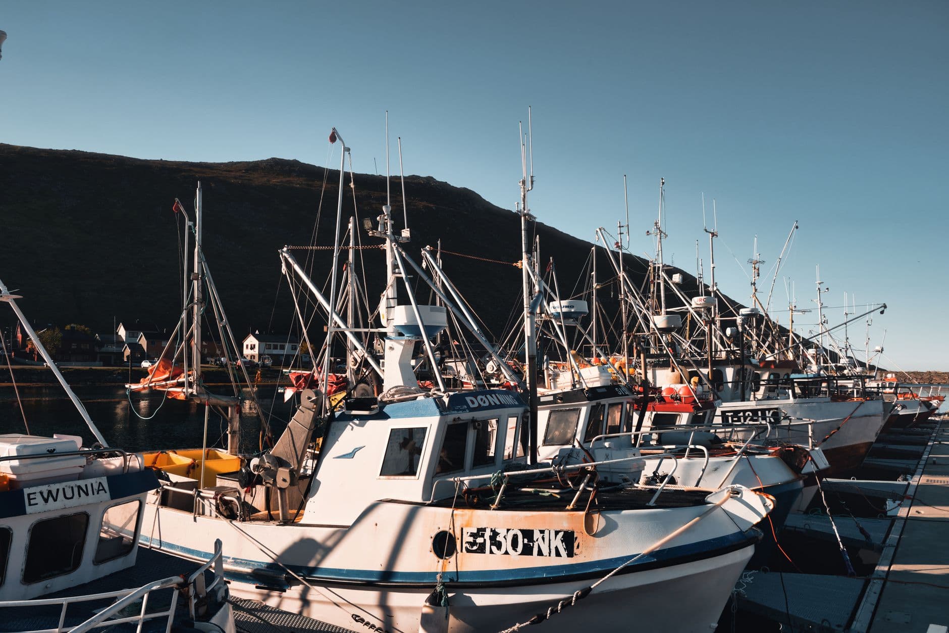 Fiskebåter i nordnorsk havn i lavt sollys